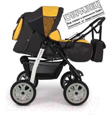 Детская универсальная коляска Alis Amelia I
