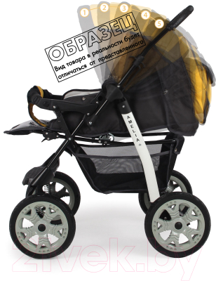 Детская универсальная коляска Alis Amelia I