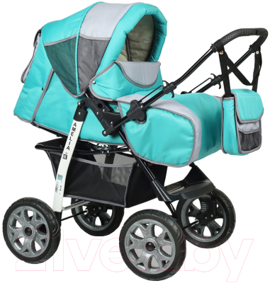 Детская универсальная коляска Alis Amelia I - фото