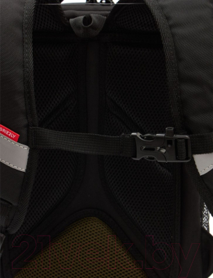 Школьный рюкзак Grizzly RAw-397-6