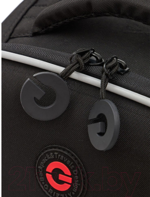 Школьный рюкзак Grizzly RAw-397-6