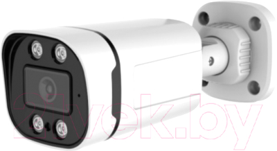 Аналоговая камера Longse LS-AHD204/60L - фото