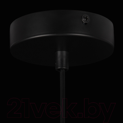 Потолочный светильник Freya Come FR8011PL-01N