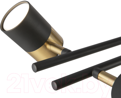 Люстра Freya Enzo FR5201PL-10B