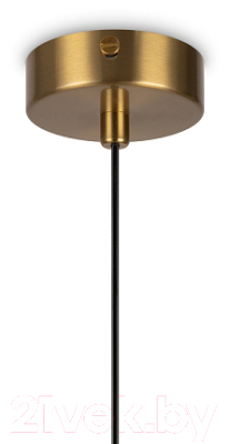 Потолочный светильник Freya Savia FR5203PL-01BS