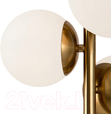 Потолочный светильник Freya Zing FR5199PL-03BS