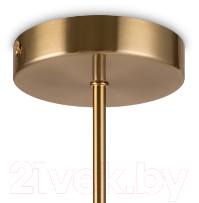 Потолочный светильник Freya Zing FR5199PL-03BS