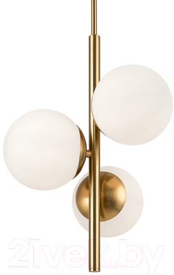 Потолочный светильник Freya Zing FR5199PL-03BS