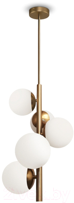 Потолочный светильник Freya Zing FR5199PL-05BS1