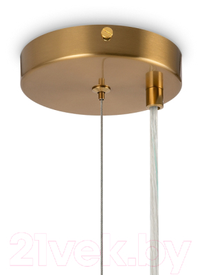 Потолочный светильник Freya Zing FR5199PL-08BS1