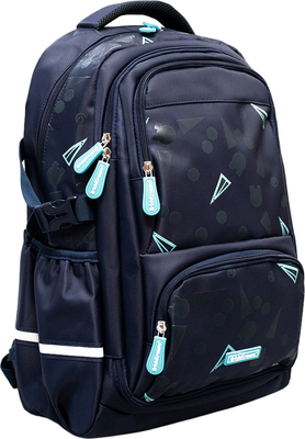 Школьный рюкзак Erich Krause SchoolLine 23L / 58801 - фото