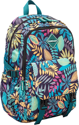 Школьный рюкзак Erich Krause SchoolLine 24L / 58807 - фото