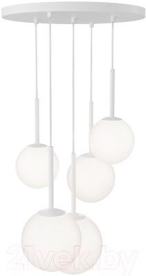 Потолочный светильник Maytoni Basic form MOD321PL-05W - фото