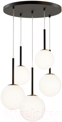 Потолочный светильник Maytoni Basic form MOD321PL-05B - фото