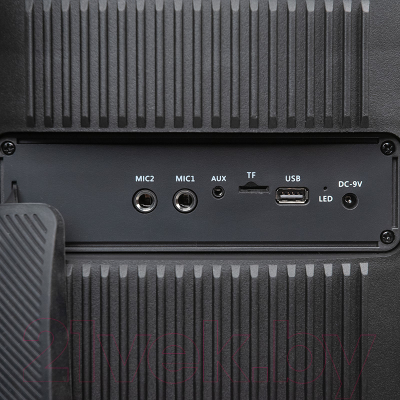 Портативная колонка Dialog Oscar AO-300