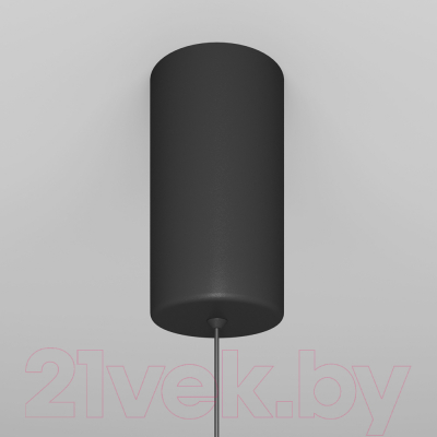 Потолочный светильник Maytoni Ray P022PL-L20B3K