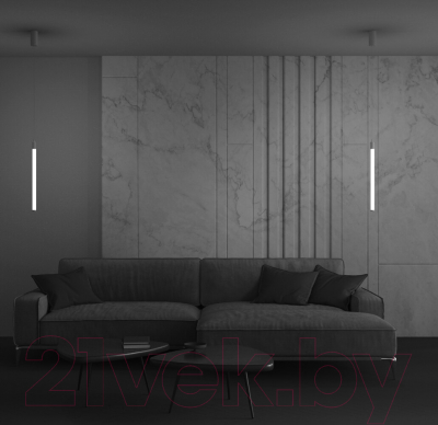 Потолочный светильник Maytoni Ray P022PL-L10W