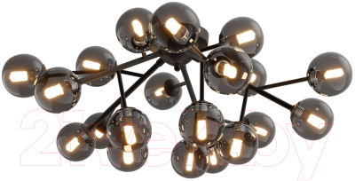 Люстра Maytoni Dallas MOD545CL-20B - фото