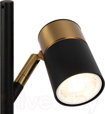 Настольная лампа Freya Enzo FR5201TL-01B