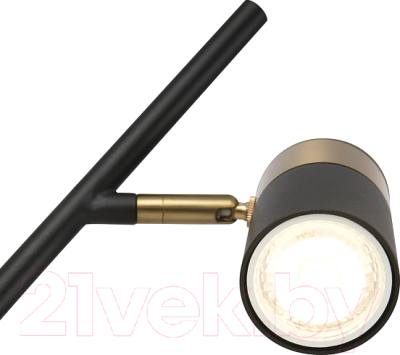 Настольная лампа Freya Enzo FR5201TL-01B