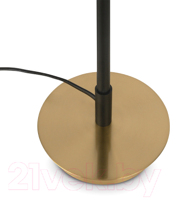 Настольная лампа Freya Enzo FR5201TL-01B