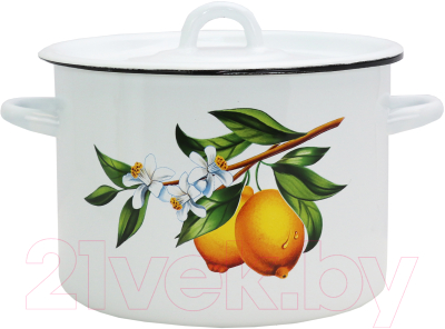 Кастрюля Эмаль Лимоны 01-1615/4М - фото