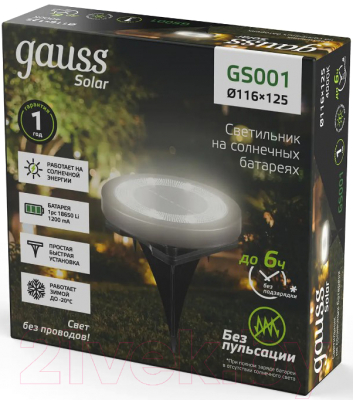 Светильник уличный Gauss GS001