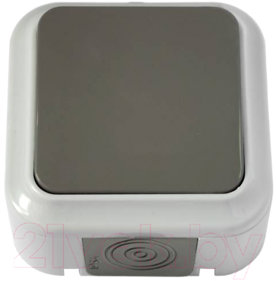 Выключатель Bylectrica А2 10-845(03) - фото