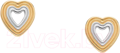 Серьги Skagen SKJ1677998 - фото