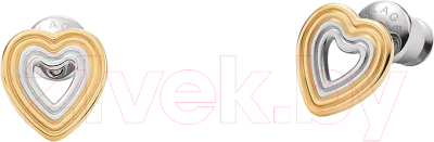 Серьги Skagen SKJ1677998