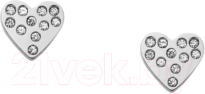 Серьги Skagen SKJ1681040 - фото