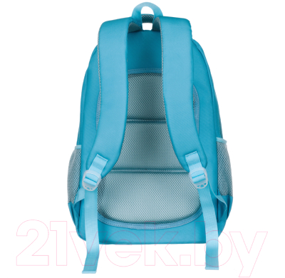 Школьный рюкзак Torber Class X / T2743-23-Gr