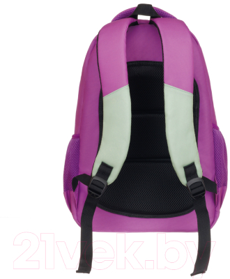 Школьный рюкзак Torber Class X / T2602-23-Gr-P