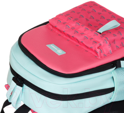 Школьный рюкзак Torber Class X Mini / T1801-23-Pin