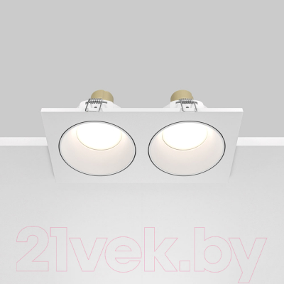 Точечный светильник Maytoni Zoom DL033-2-02W