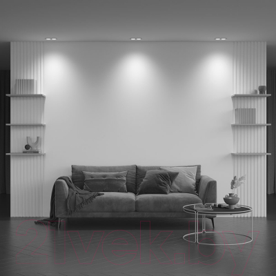 Точечный светильник Maytoni Zoom DL033-2-02W