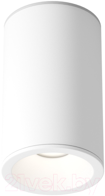 Точечный светильник Maytoni Zoom C029CL-01-S-W - фото