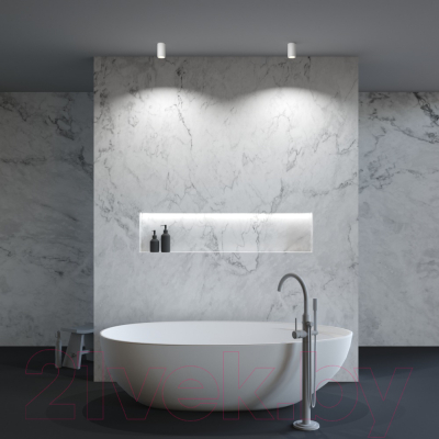 Точечный светильник Maytoni Zoom C029CL-01-S-W