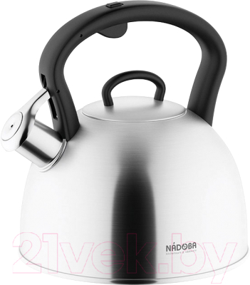 Чайник со свистком Nadoba Ivona 731802 - фото