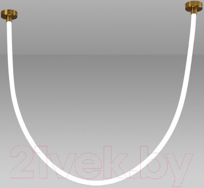 Потолочный светильник Kinklight Венди 08031-200.20 - фото