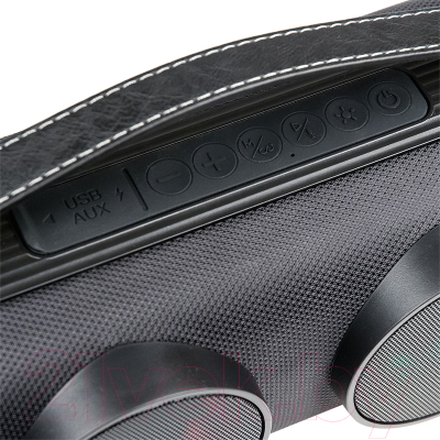 Портативная колонка Dialog Progressive AP-12