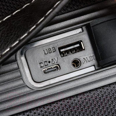 Портативная колонка Dialog Progressive AP-12