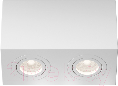 Потолочный светильник Maytoni Atom C017CL-02W - фото