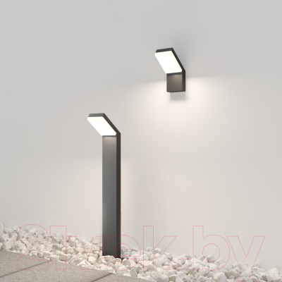 Светильник уличный Maytoni Paso O595FL-L12B3K