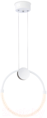 Потолочный светильник Ambrella Comfort FL10592 - фото