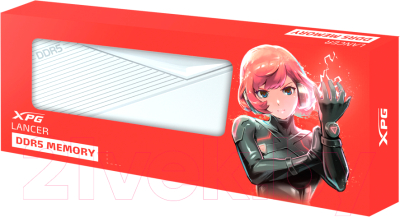 Оперативная память DDR5 A-data AX5U6000C3016G-DCLAWH