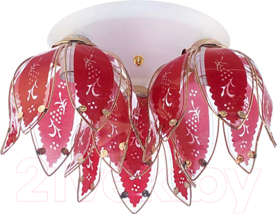 Потолочный светильник Aitin-Pro НПБ 02-3x60-102 / 80/3C (белый/красный) - фото