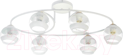 Потолочный светильник Aitin-Pro НПБ 02-6x60-101 / C1234/6 - фото