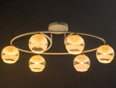 Потолочный светильник Aitin-Pro НПБ 02-6x60-101 / C1234/6