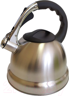 Чайник со свистком Astiat AST1017 - фото